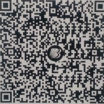 QR Code - Shree Bhoomika Social Service Trust